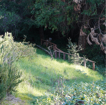 Outdoor landscape with hillside and forest