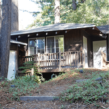 Rustic cabin among trees