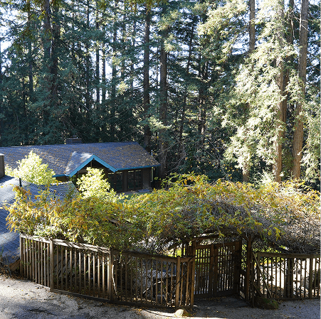 Building with foliage and trees